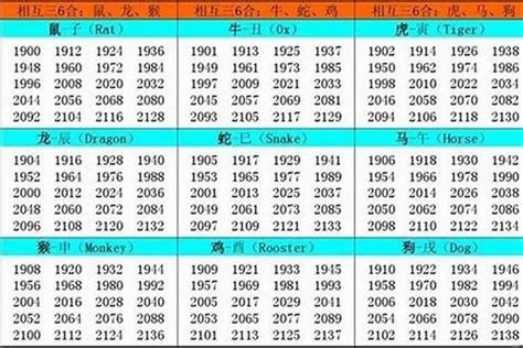 02年生肖|2002 年出生属什么生肖